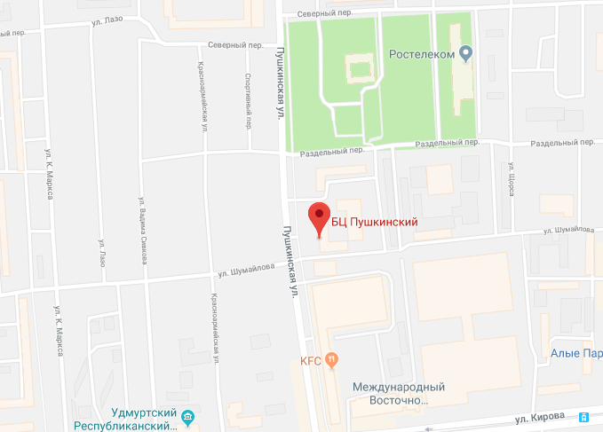 ул. Пушкинская, 270, 3 этаж (БЦ "Пушкинский") 2